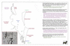 coo1e18 moreton bay_thumb.gif